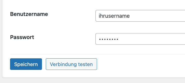 Screenshot: API-Key Eingabe in den Plugin-Einstellungen